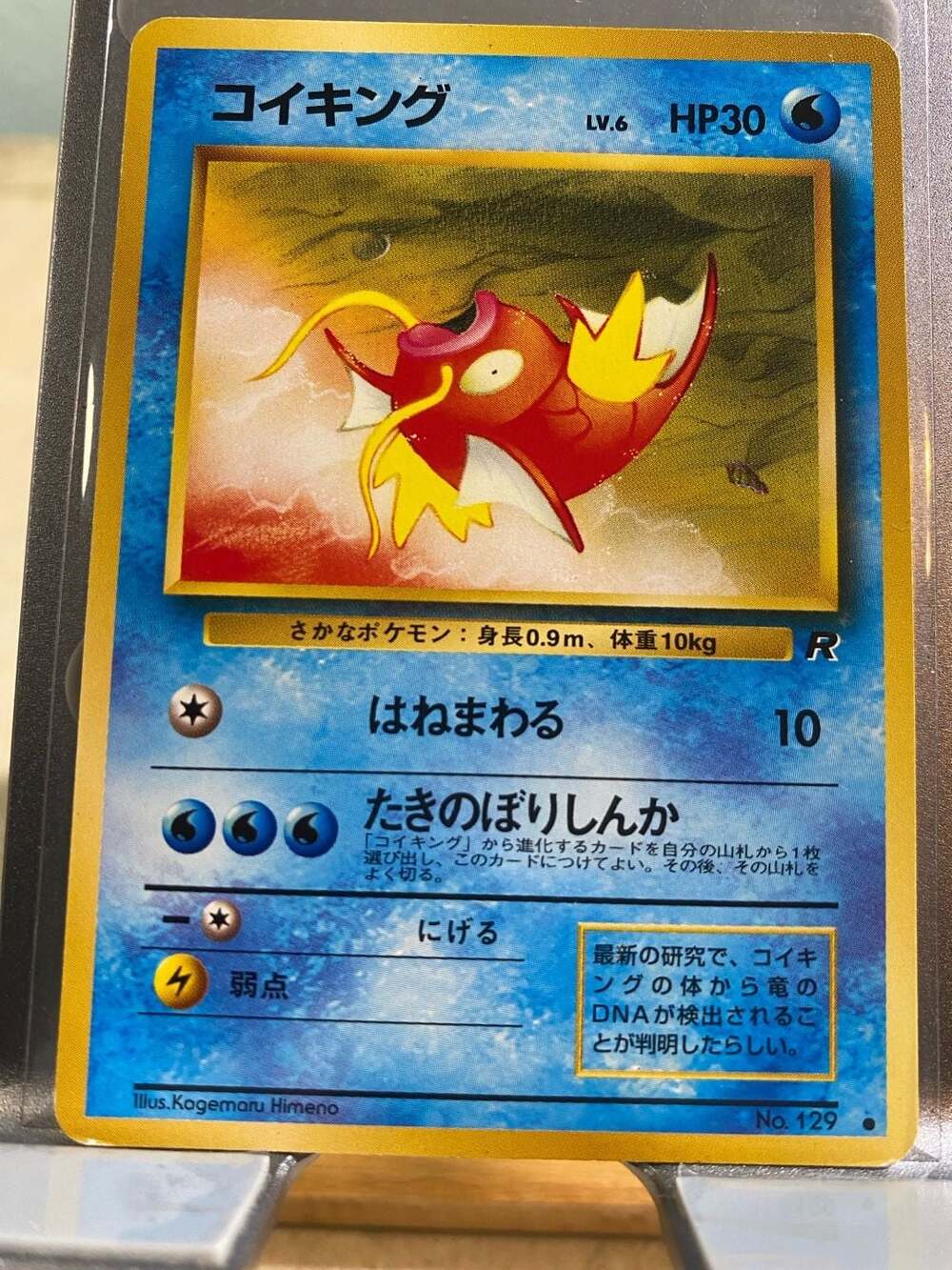 Magikarp No.129 Old Back Pokemon card 1996 Japanese Magicarpe Japan